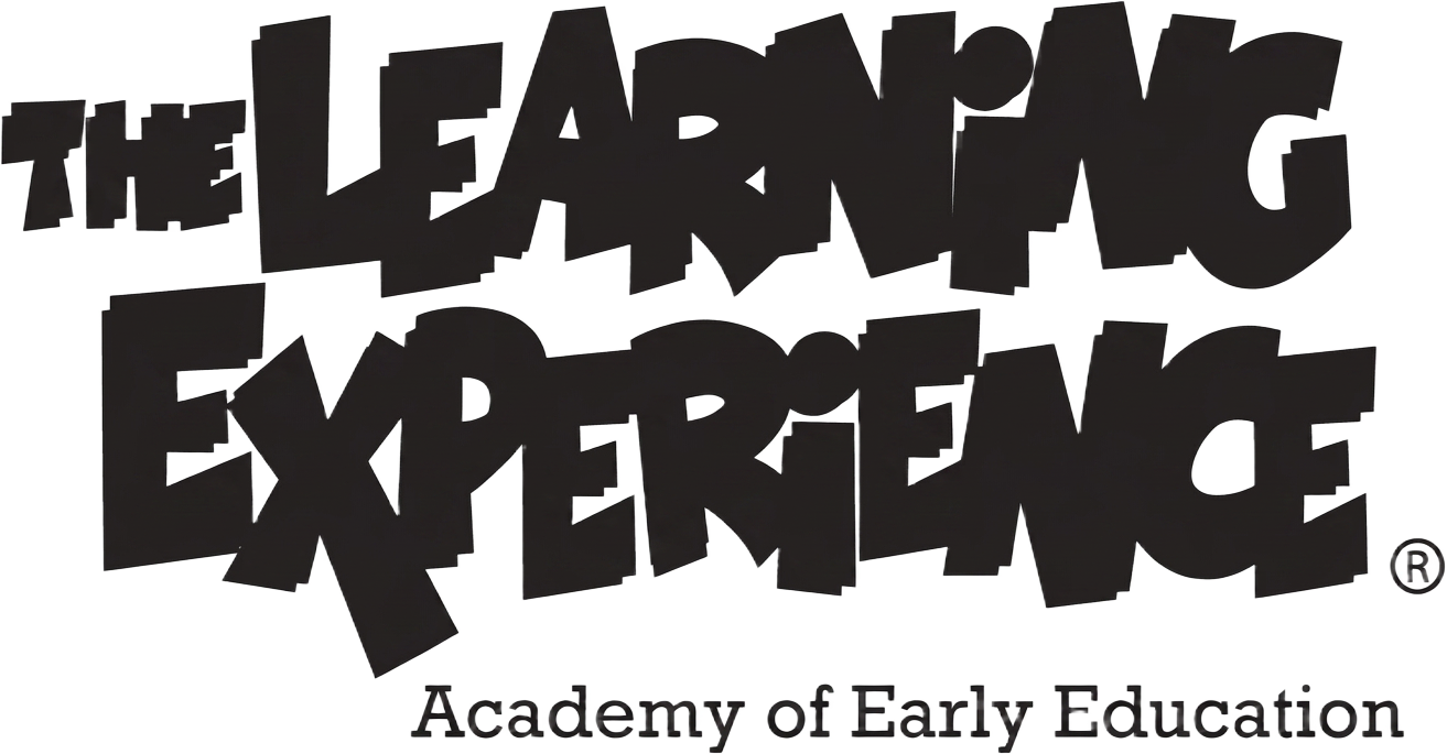 The Learning Experience